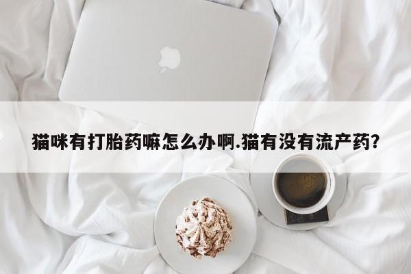 流产药微信猫咪有打胎药嘛怎么办啊.猫有没有流产药？