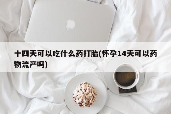 流产药微信十四天可以吃什么药打胎(怀孕14天可以药物流产吗)